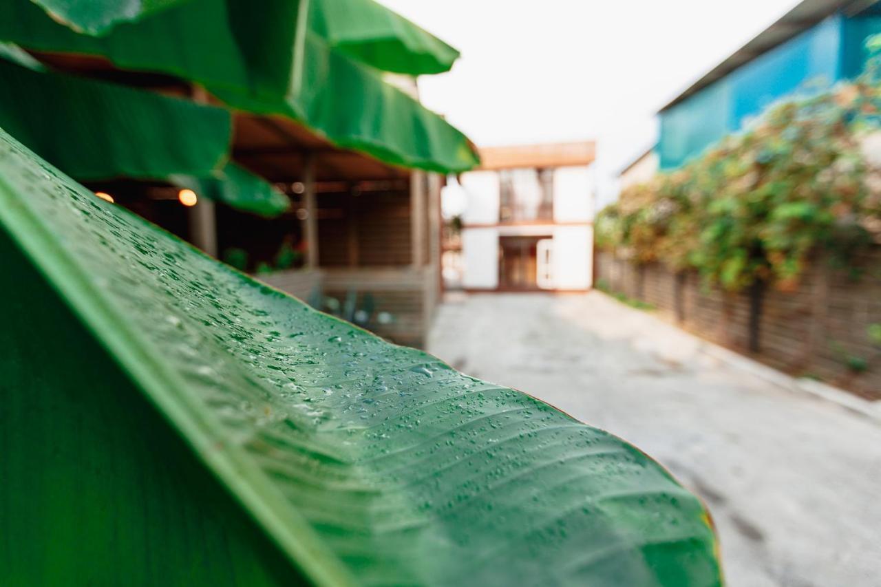 Guest House Amshin Tsandrypsh Luaran gambar